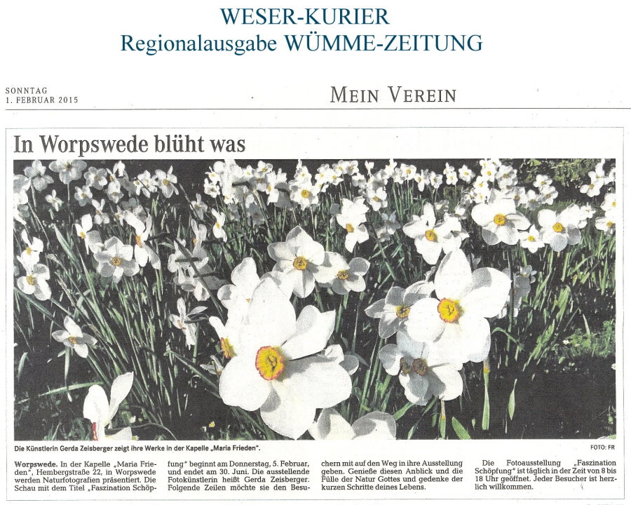 Presse_2015.02.01._Ausst.G.Zeisberger_WUM